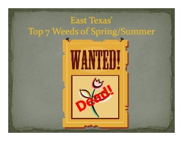 East Texas' Top 7 Weeds of Spring/Summer - Smith