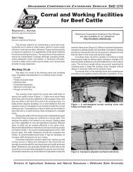 Corral and Working Facilities for Beef Cattle - OSU Fact Sheets ...