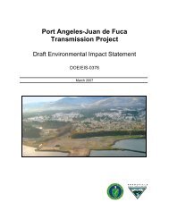 Port Angeles-Juan de Fuca Transmission Project - EFW Home ...