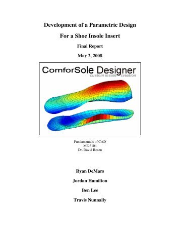 Development of a Parametric Design For a Shoe Insole Insert