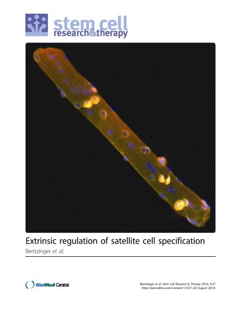 Extrinsic regulation of satellite cell specification - BioMed Central