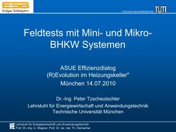Download Vortrag der TUM (Dr.-Ing. Peter Tzscheutschler) - Strom ...