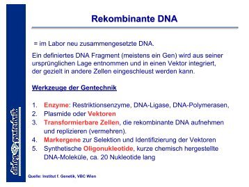 Rekombinante DNA