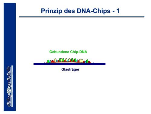 Rekombinante DNA