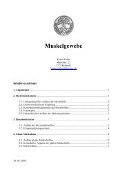 Muskelgewebe