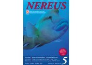 nereus - SUSV