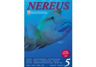 nereus - SUSV