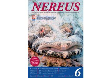 nereus - SUSV