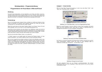 Programmierübung Programmieren mit Visual Basic in ... - SwissEduc