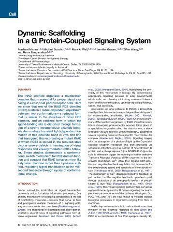 Dynamic Scaffolding in a G Protein-Coupled Signaling System
