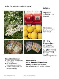 Rezept Holunderblütensirup - Aquaspender