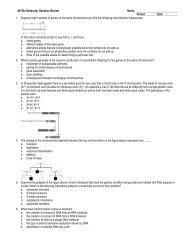 Drosophila melanogaster - Teacher