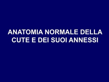 anatomia normale 2012