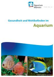 Aquarium - aQua united GmbH