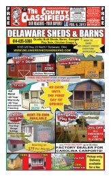 DELAWARE SHEDS & BARNS - County Classifieds