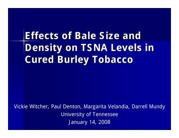 Effects of Bale Size and Density on TSNA Levels in Cured Burley ...