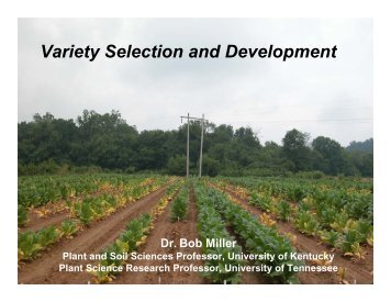 Variety Selection and Development - Tobacco Info Online