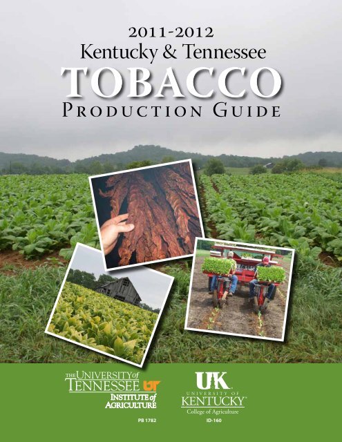 tobacco tennessee Tobacco Production Guide