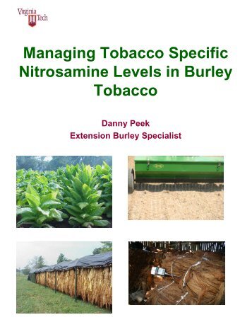 Managing Tobacco Specific Nitrosamine Levels in Burley Tobacco