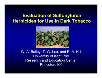 Evaluation of Sulfonylurea Herbicides for Use in Dark - Tobacco Info ...