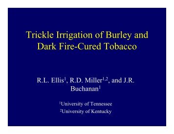 Trickle Irrigation of Burley and Dark Fire-Cured - Tobacco Info Online