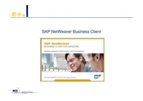 SAP NetWeaver Business Client - TOBA Team eV