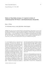 Full text pdf - Tropical Bryology