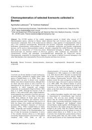 Full text pdf - Tropical Bryology