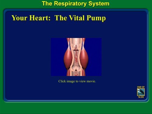 Hematology PPT