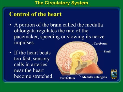 Hematology PPT