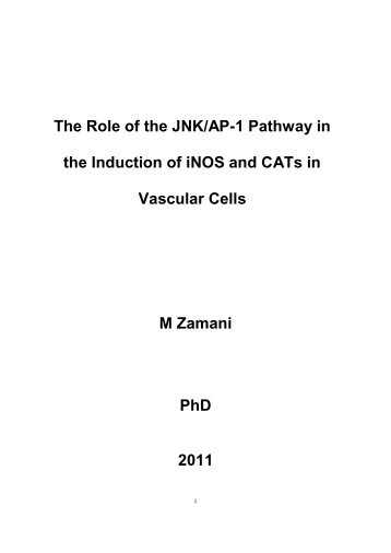 The Role of the JNK/AP-1 Pathway in the Induction of iNOS and ...