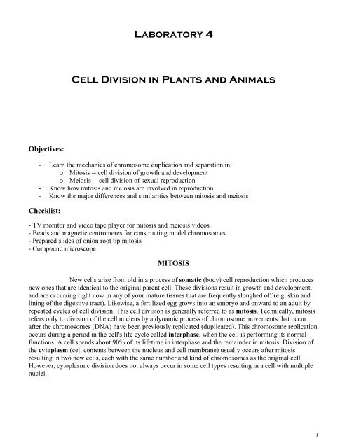 Laboratory 4 Cell Division in Plants and Animals - Rowan