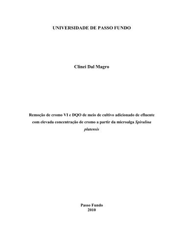 CLINEI DAL MAGRO.pdf - Universidade de Passo Fundo
