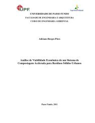 Adriano Borges Pires.pdf - Universidade de Passo Fundo