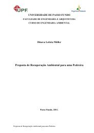 Dinava Leticia Müller.pdf - Universidade de Passo Fundo