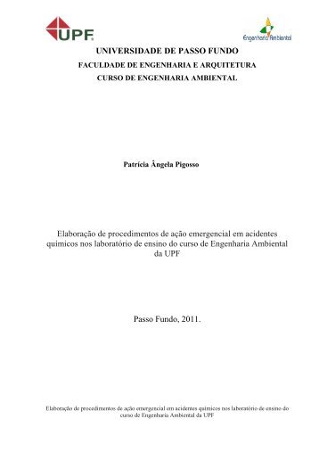 Patrícia Ângela Pigosso.pdf - Universidade de Passo Fundo
