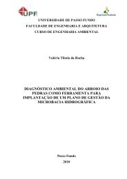 VALÉRIA TIBOLA DA ROCHA.pdf - Universidade de Passo Fundo