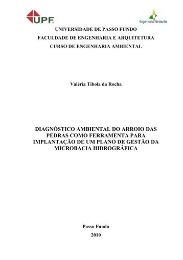 VALÉRIA TIBOLA DA ROCHA.pdf - Universidade de Passo Fundo