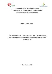 SILVIA LARISSE SCOPEL.pdf - Universidade de Passo Fundo