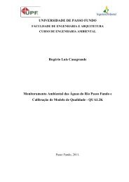 Rogério Luís Casagrande.pdf - Universidade de Passo Fundo