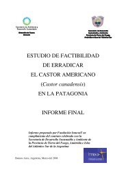 ESTUDIO DE FACTIBILIDAD version final para Argentina