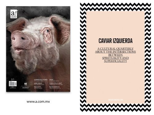 Directorio de Diseño Mexicano - Centro
