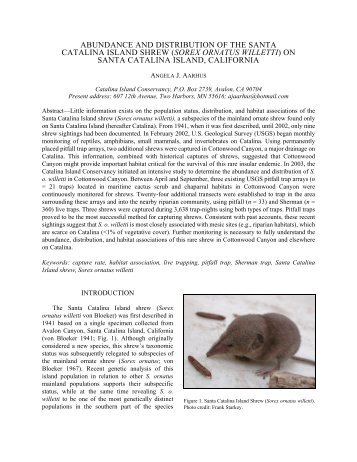 abundance and distribution of the santa catalina island shrew