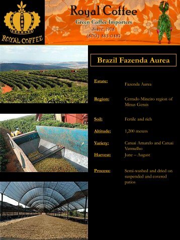 Brazil Fazenda Aurea - Royal Coffee, Inc.