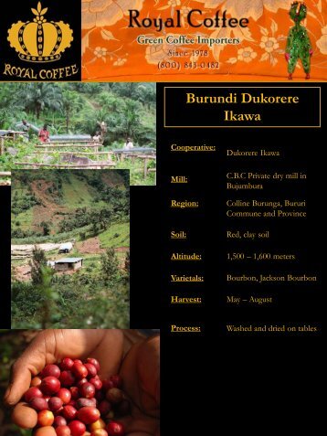 Burundi Dukorere Ikawa - Royal Coffee, Inc.