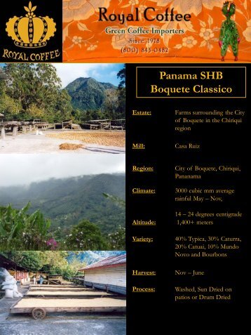 Panama SHB Boquete Classico - Royal Coffee, Inc.