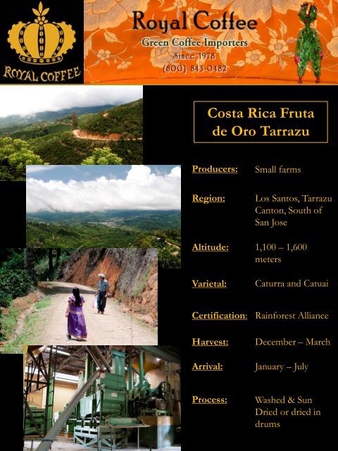 Costa Rica Fruta de Oro Tarrazu Producers - Royal Coffee, Inc.