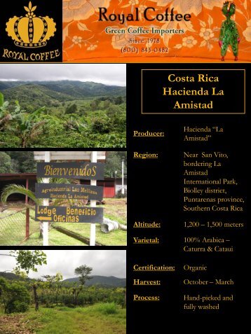 Costa Rica Hacienda La Amistad Producer - Royal Coffee, Inc.