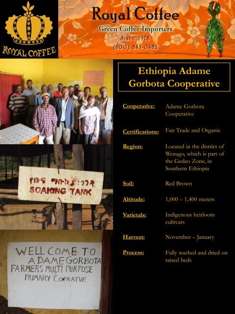 Ethiopia Adame Gorbota Cooperative - Royal Coffee, Inc.