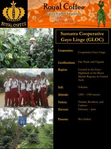 Sumatra Cooperative Gayo Linge (GLOC) - Royal Coffee, Inc.